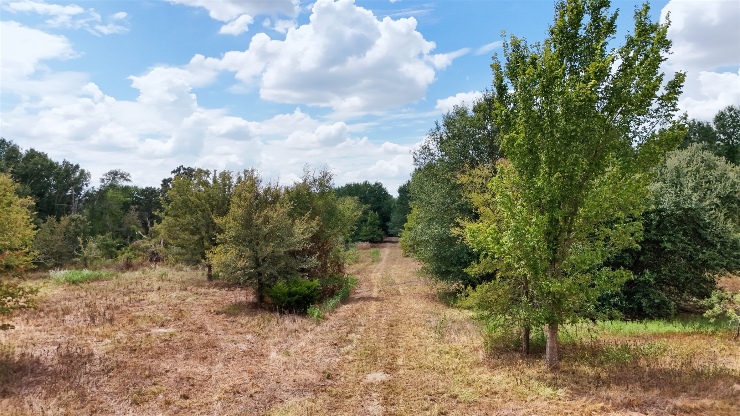 3480 Beck Prairie Road Calvert, TX 77837 - Photo 5 of 7 Gallery Image 5