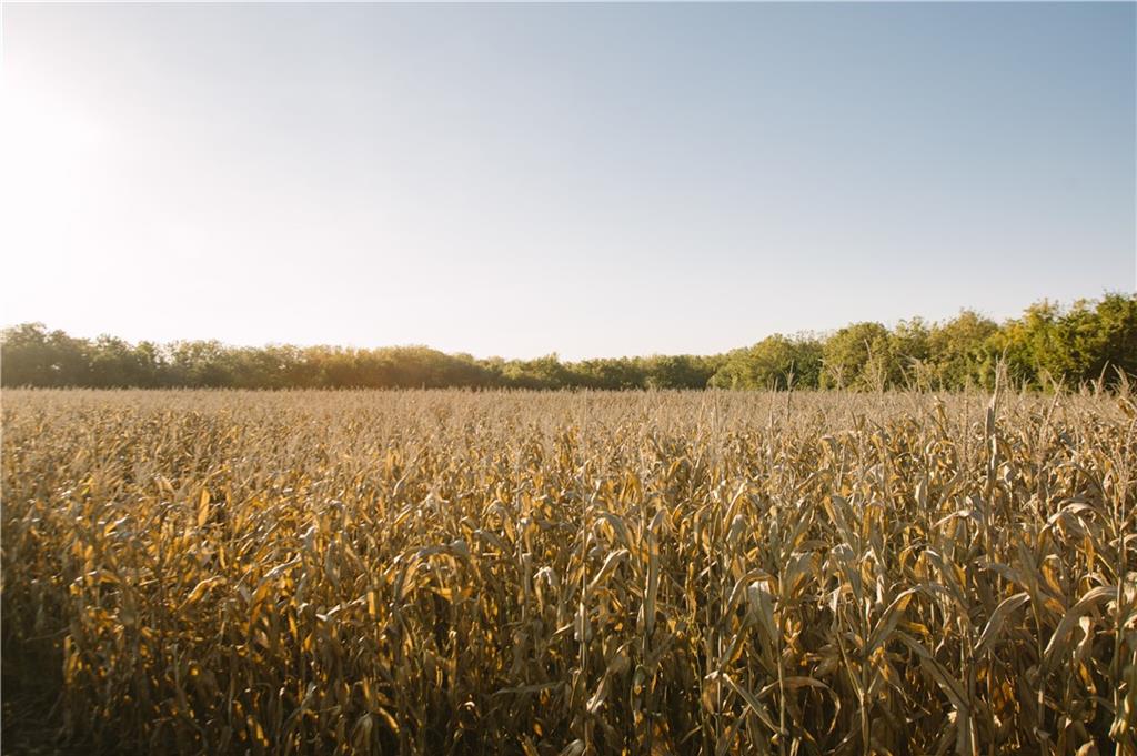 Metcalf Road Louisburg, KS 66053 - Photo 11 of 37