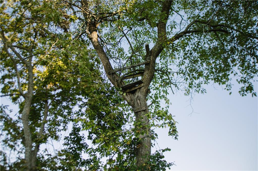 Metcalf Road Louisburg, KS 66053 - Photo 14 of 37