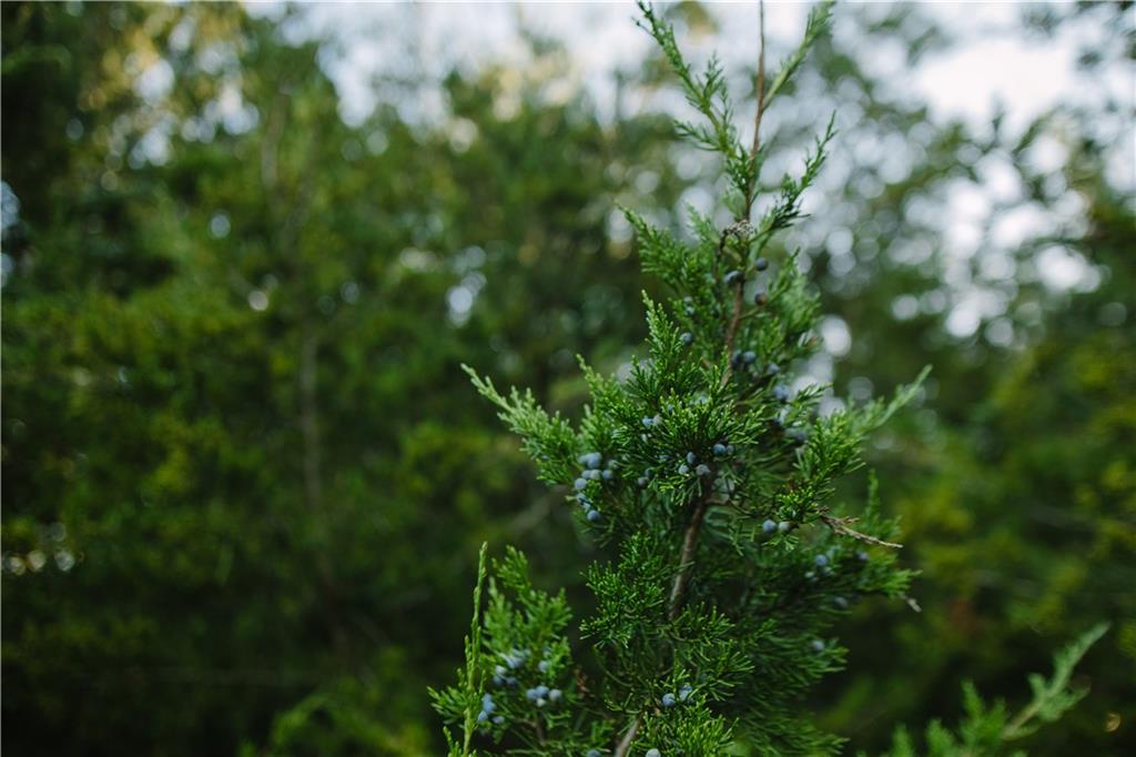 Metcalf Road Louisburg, KS 66053 - Photo 20 of 37