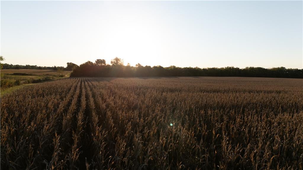 Metcalf Road Louisburg, KS 66053 - Photo 2 of 37