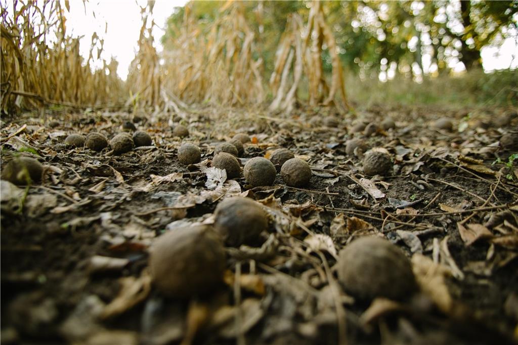 Metcalf Road Louisburg, KS 66053 - Photo 23 of 37