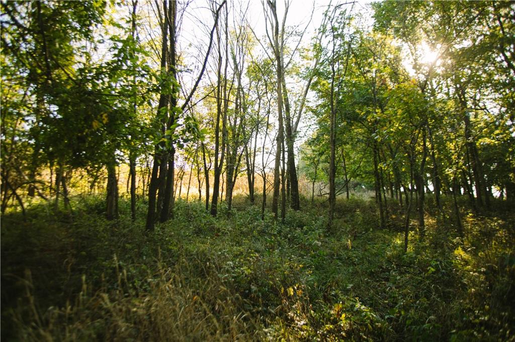 Metcalf Road Louisburg, KS 66053 - Photo 24 of 37