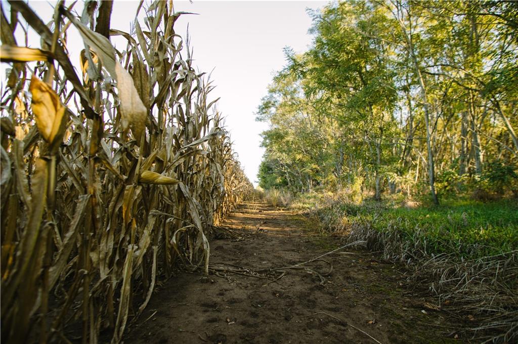 Metcalf Road Louisburg, KS 66053 - Photo 26 of 37