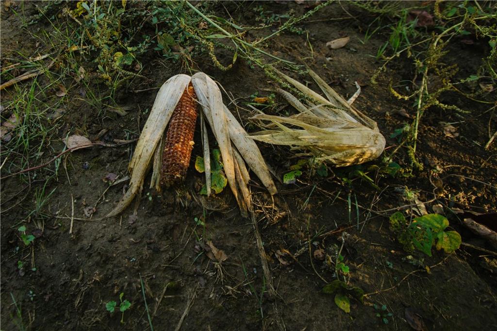 Metcalf Road Louisburg, KS 66053 - Photo 27 of 37