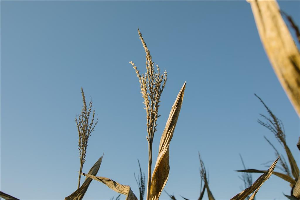 Metcalf Road Louisburg, KS 66053 - Photo 28 of 37