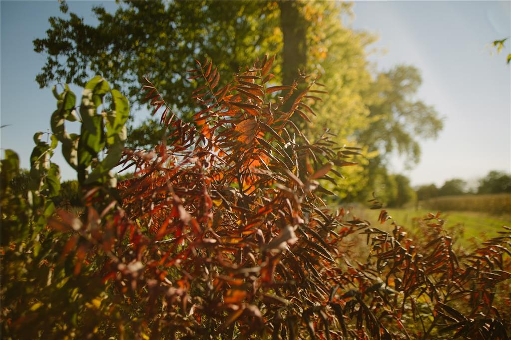 Metcalf Road Louisburg, KS 66053 - Photo 29 of 37