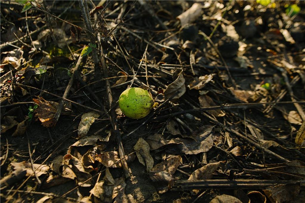 Metcalf Road Louisburg, KS 66053 - Photo 30 of 37