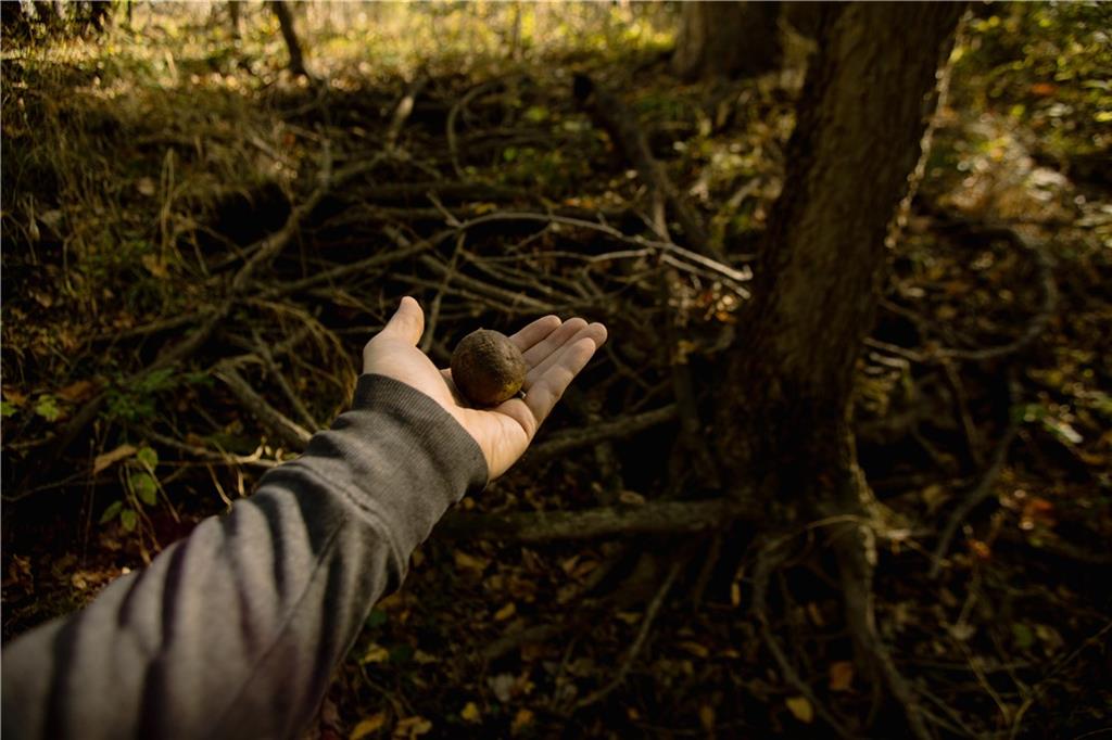 Metcalf Road Louisburg, KS 66053 - Photo 32 of 37