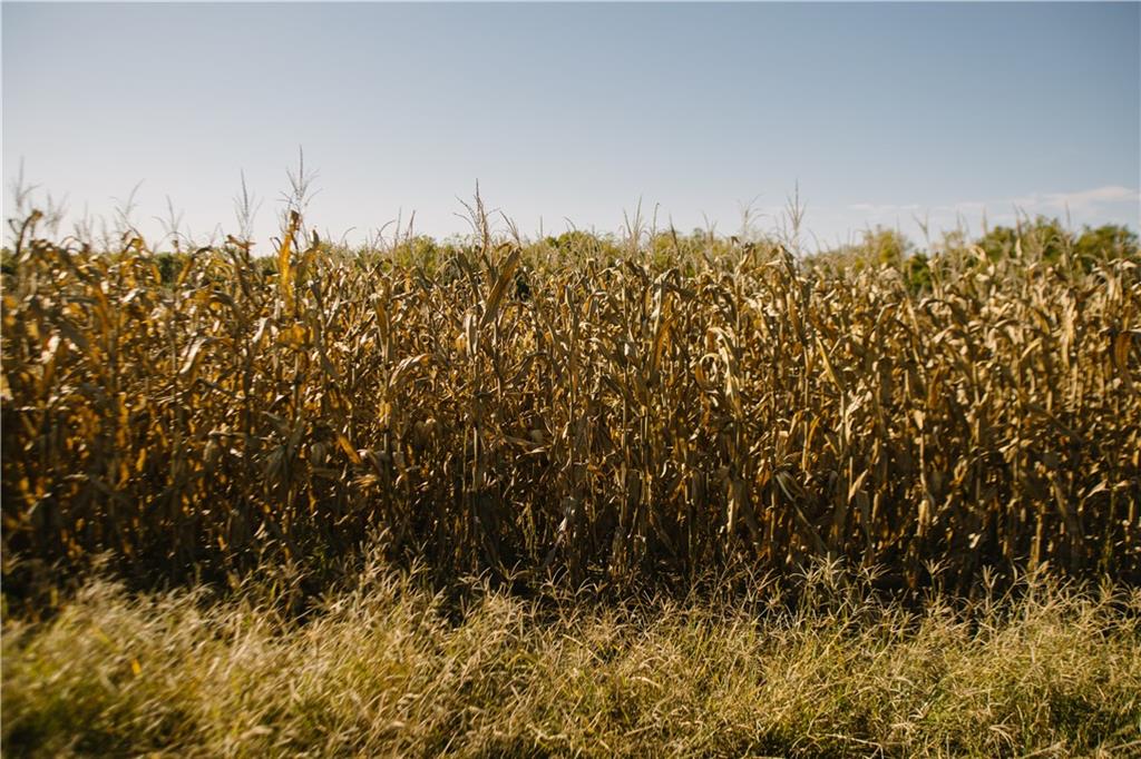 Metcalf Road Louisburg, KS 66053 - Photo 33 of 37