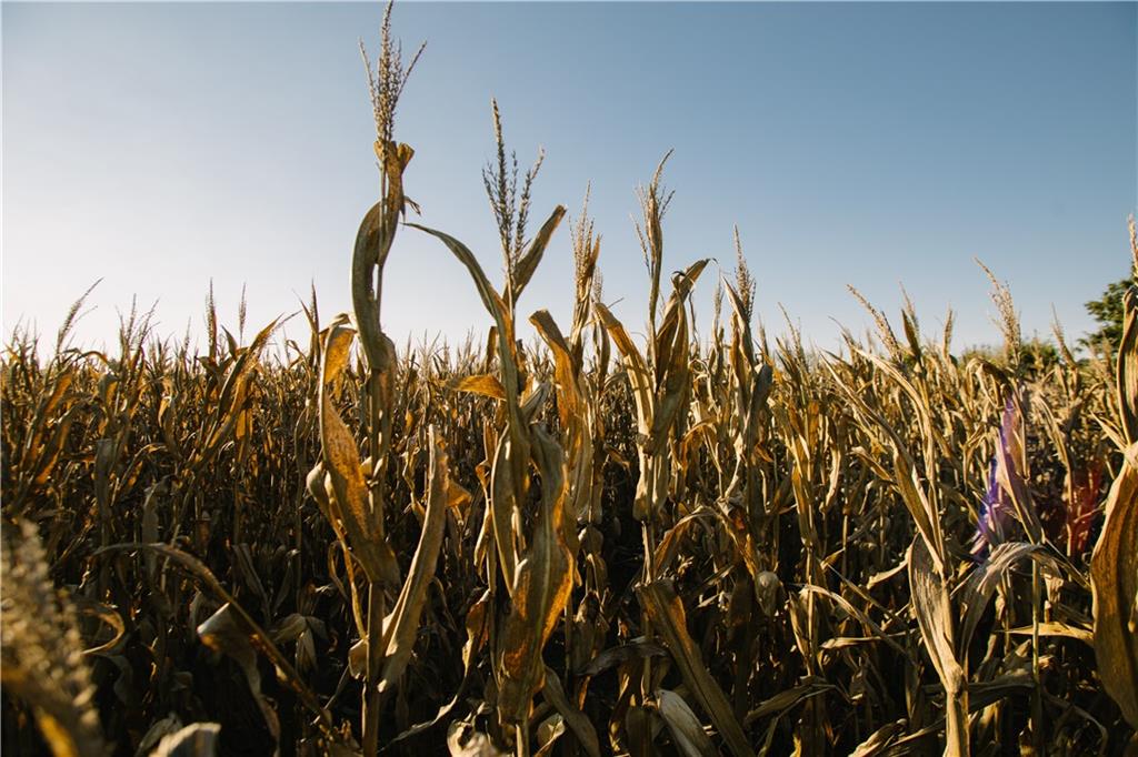 Metcalf Road Louisburg, KS 66053 - Photo 7 of 37