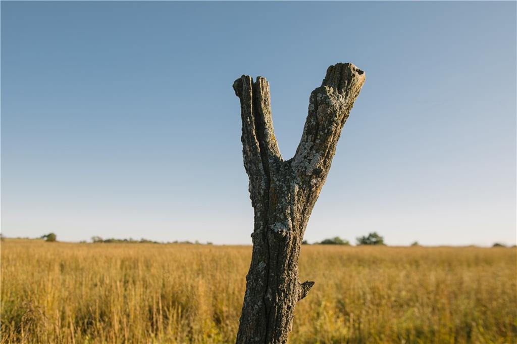 Metcalf Road Louisburg, KS 66053 - Photo 10 of 37