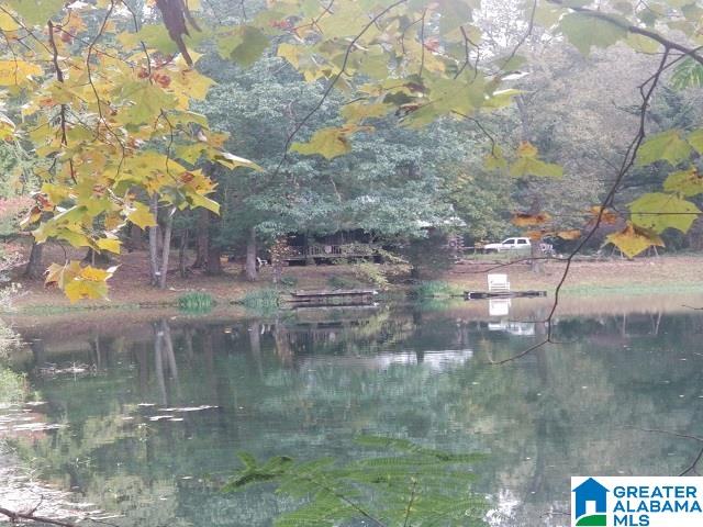 481 Aderholdt Mill Road Jacksonville, AL 36265 - Photo 2 of 10