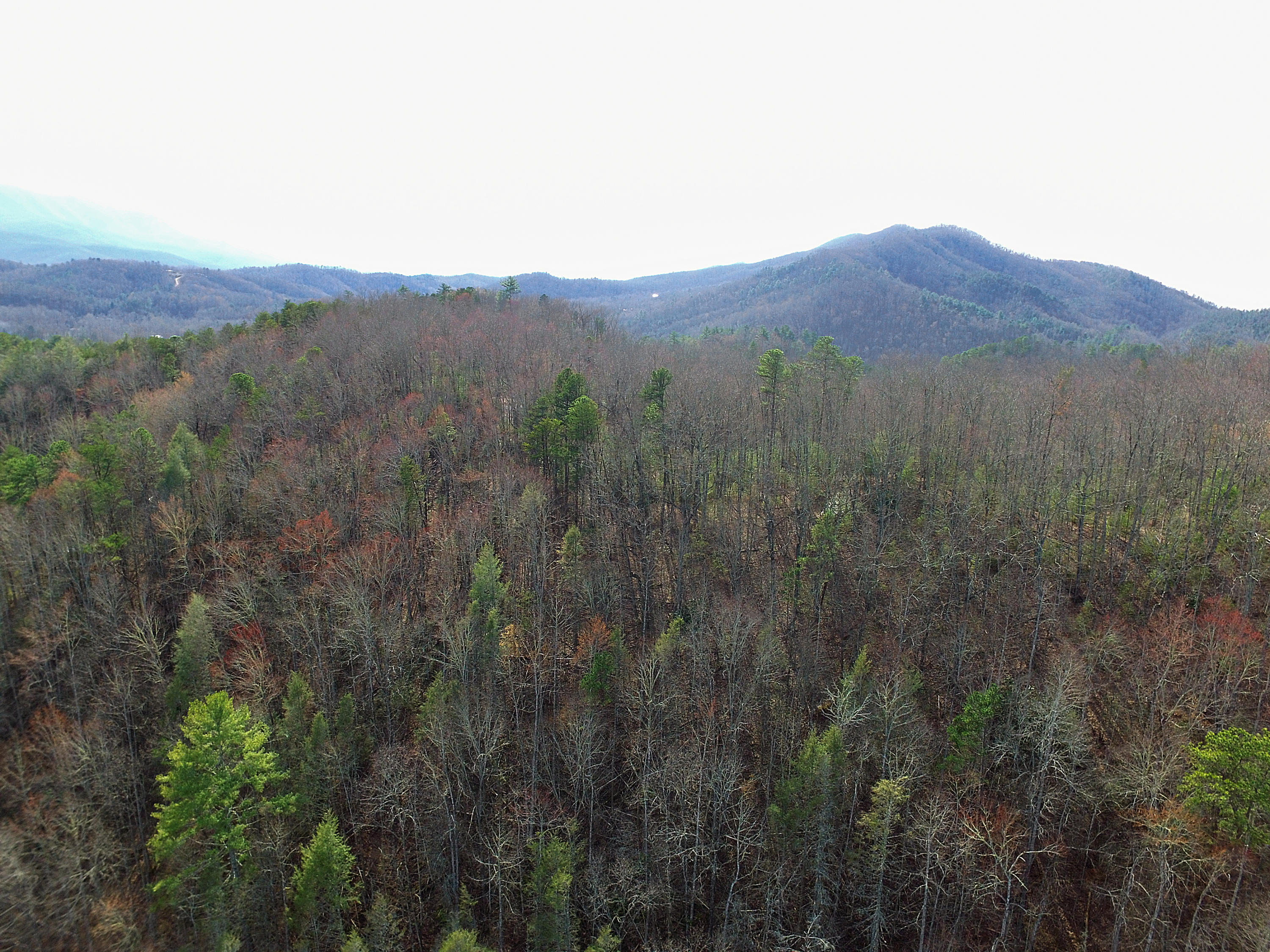 Balls Hollow Road Cosby, TN 37722 - Photo 1 of 7 Lot 3 Balls Hollow Rd, Cosby TN 37722 (1