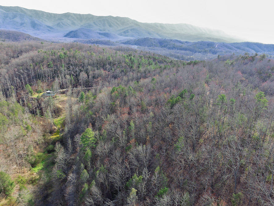 Balls Hollow Road Cosby, TN 37722 - Photo 3 of 7 Lot 3 Balls Hollow Rd, Cosby TN 37722 (8