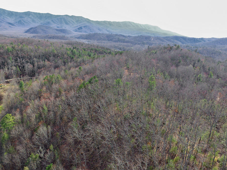 Balls Hollow Road Cosby, TN 37722 - Photo 4 of 7 Lot 3 Balls Hollow Rd, Cosby TN 37722 (1