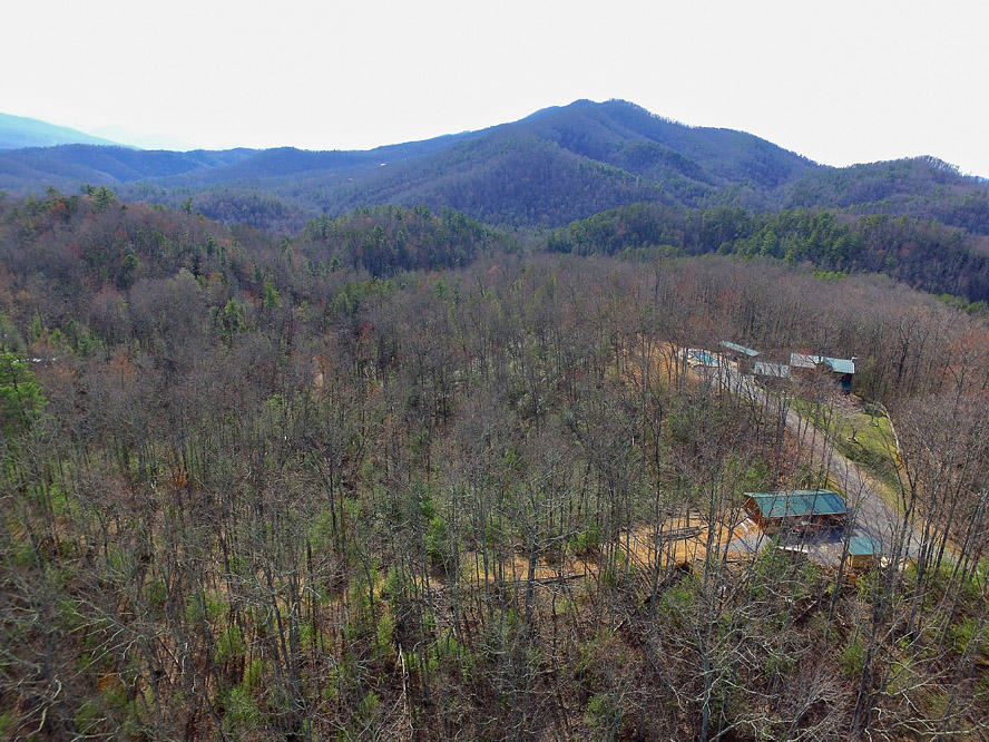 Balls Hollow Road Cosby, TN 37722 - Photo 5 of 7 Lot 3 Balls Hollow Rd, Cosby TN 37722 (1