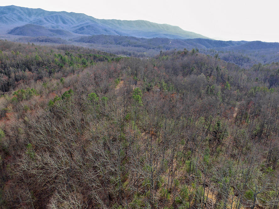 Balls Hollow Road Cosby, TN 37722 - Photo 6 of 7 Lot 3 Balls Hollow Rd, Cosby TN 37722 (1