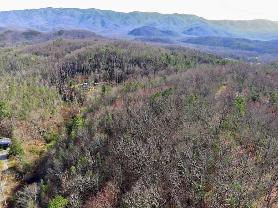Balls Hollow Road Cosby, TN 37722 - Photo 7 of 7 Lot 3 Balls Hollow Rd, Cosby TN 37722 (1