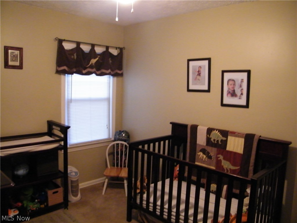 734 Ranney Street Akron, OH 44310 - Photo 23 of 31 Gallery Image 23
