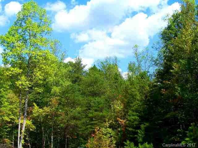 31 Rambler Lane Blacksburg, SC 29702 - Photo 2 of 2