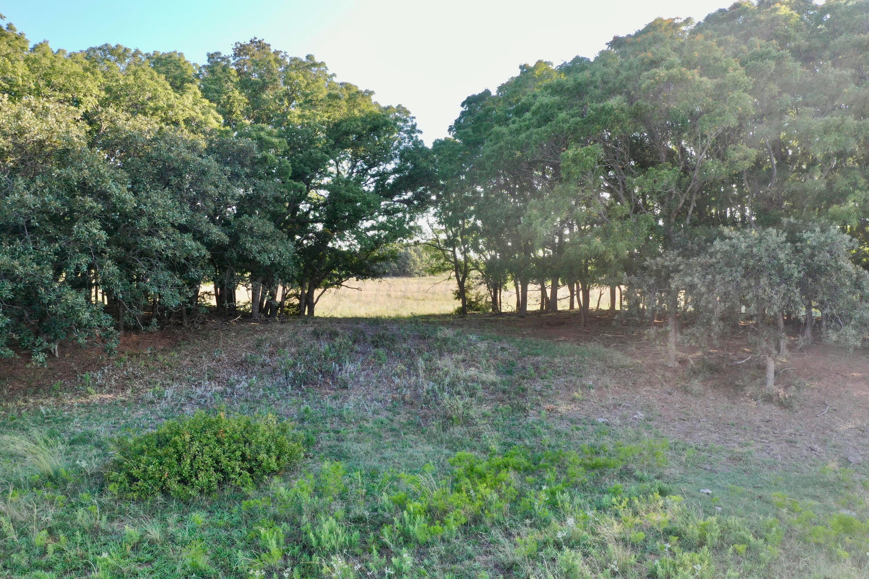 19 County Road 19 Wheeler, TX 79096 - Photo 15 of 57 a view of an outdoor space and a yard