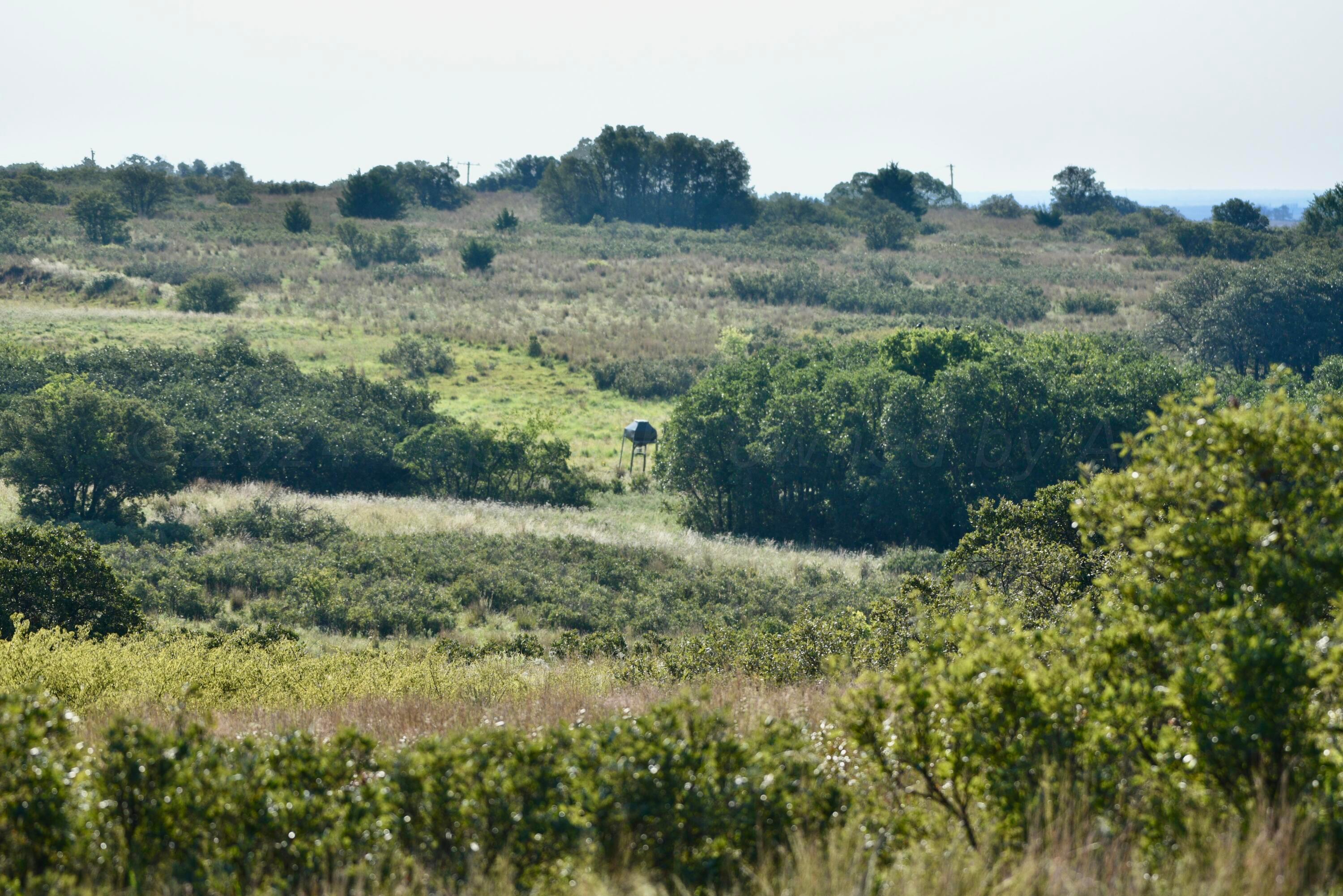 19 County Road 19 Wheeler, TX 79096 - Photo 18 of 57 a view of a lush green forest with trees and some houses