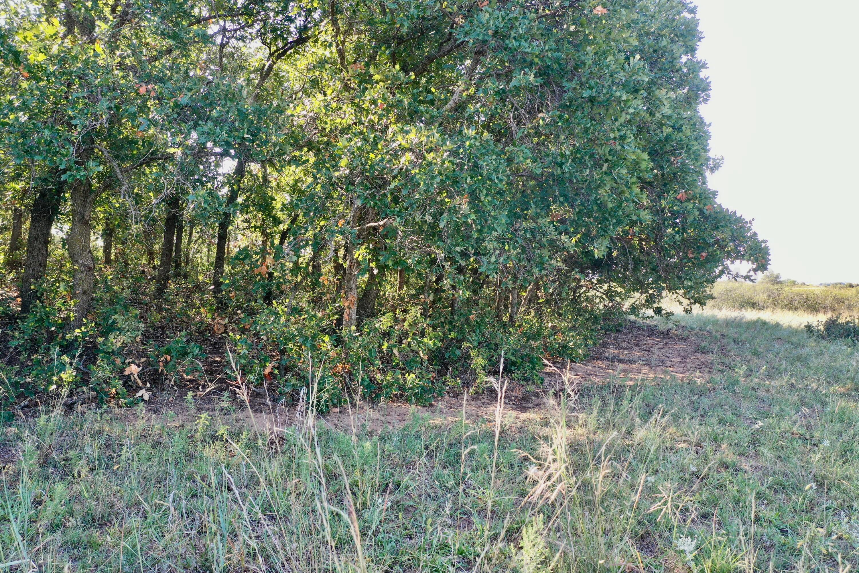 19 County Road 19 Wheeler, TX 79096 - Photo 25 of 57 a view of a yard