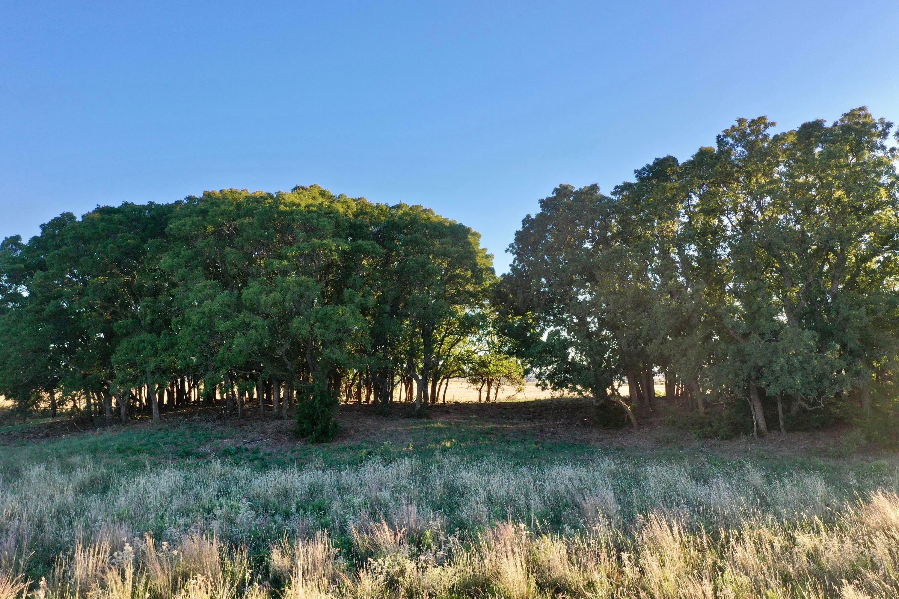 19 County Road 19 Wheeler, TX 79096 - Photo 29 of 57 a view of lake with green space