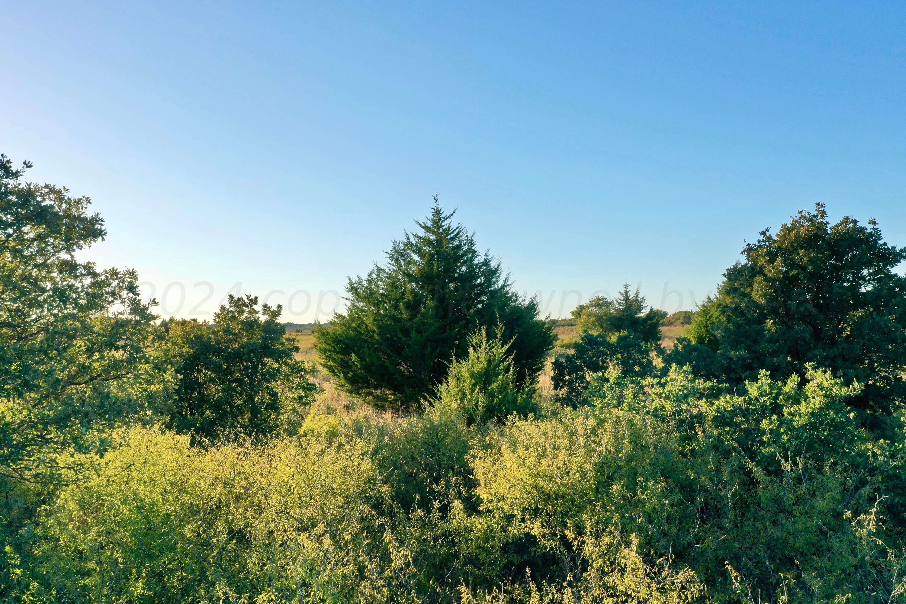 19 County Road 19 Wheeler, TX 79096 - Photo 33 of 57 a view of a lush green space