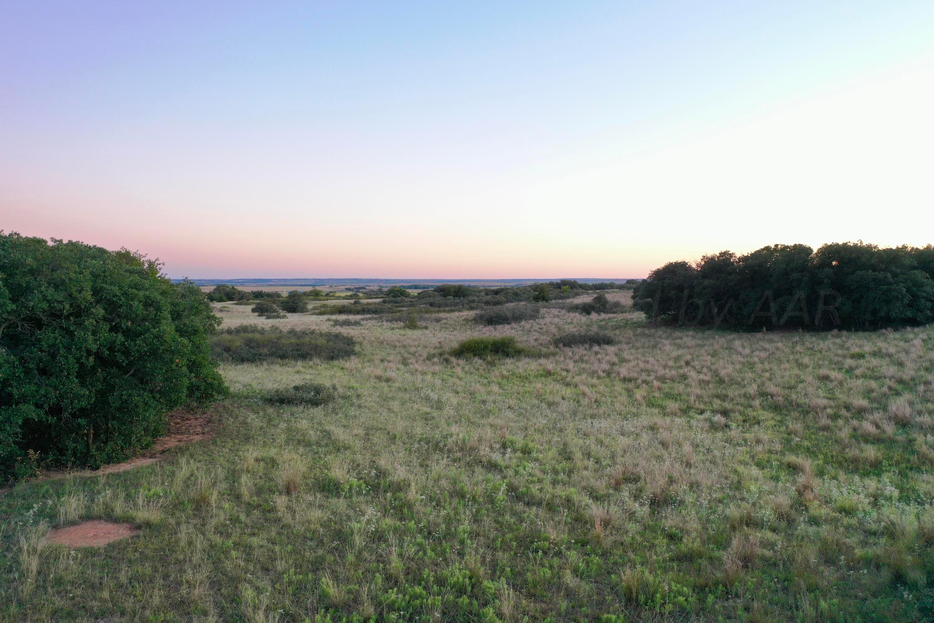 19 County Road 19 Wheeler, TX 79096 - Photo 39 of 57 a view of a field of grass and trees