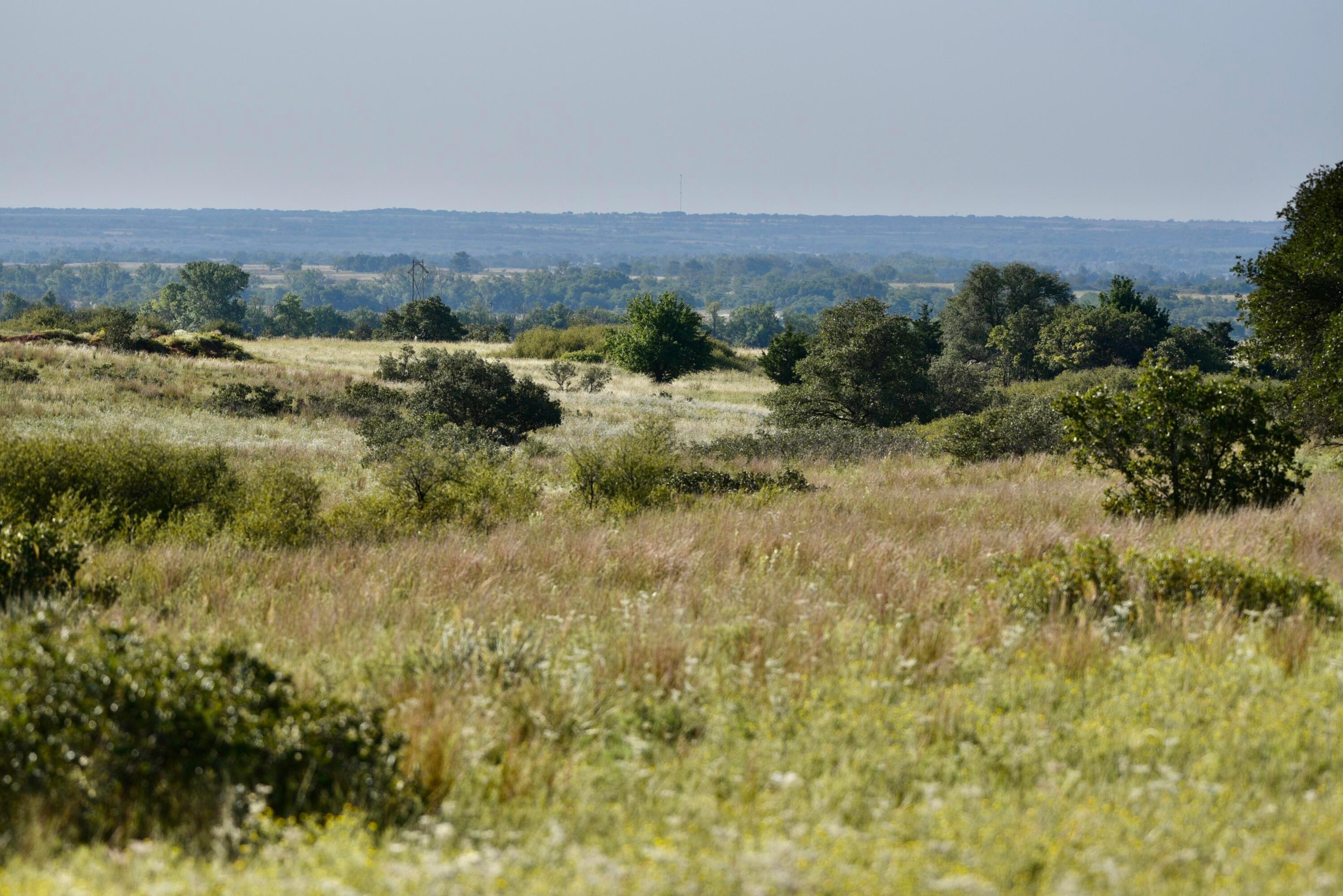 19 County Road 19 Wheeler, TX 79096 - Photo 48 of 57 a view of a field of grass and trees