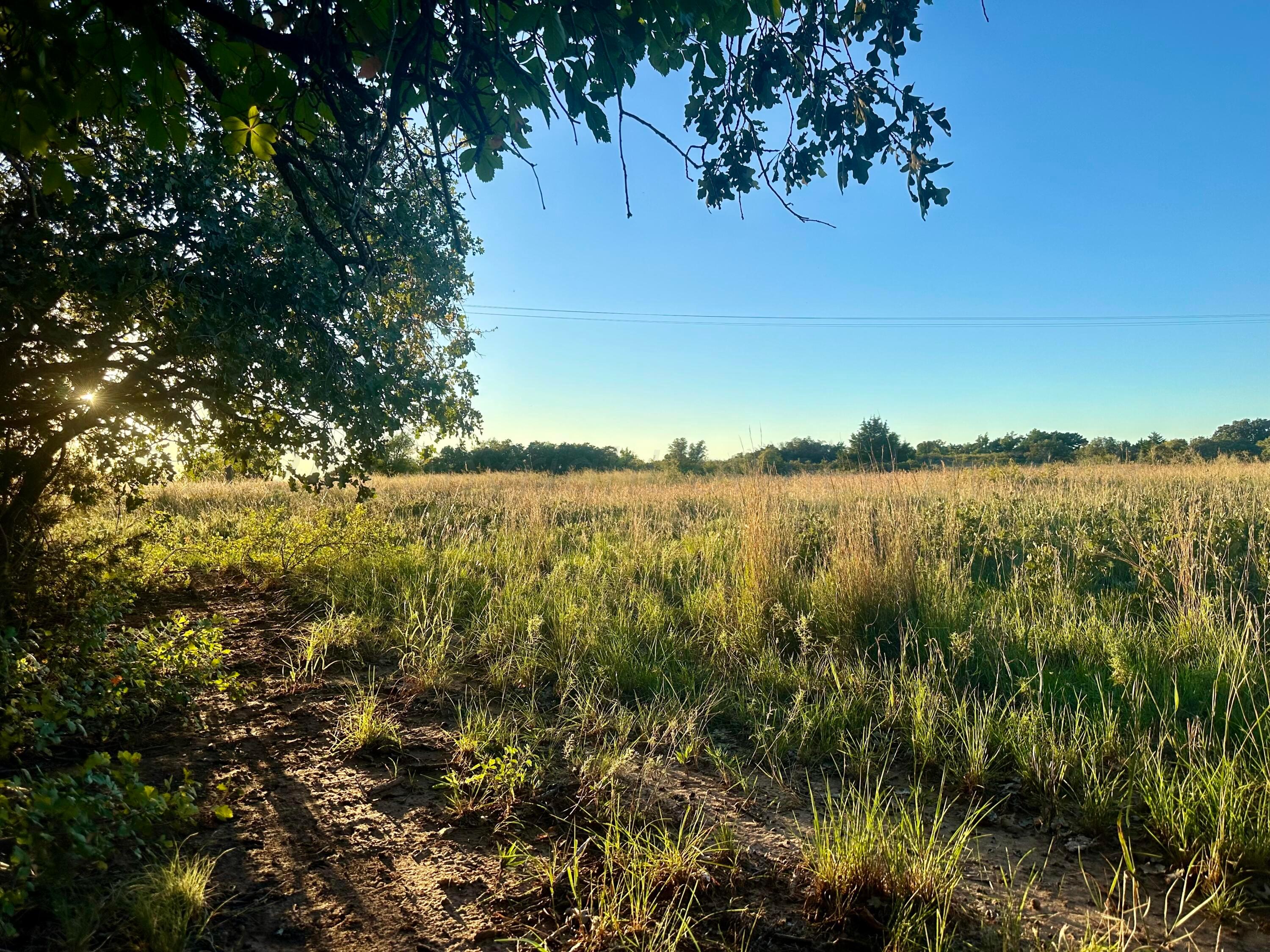 19 County Road 19 Wheeler, TX 79096 - Photo 53 of 57 a view of lake with green space
