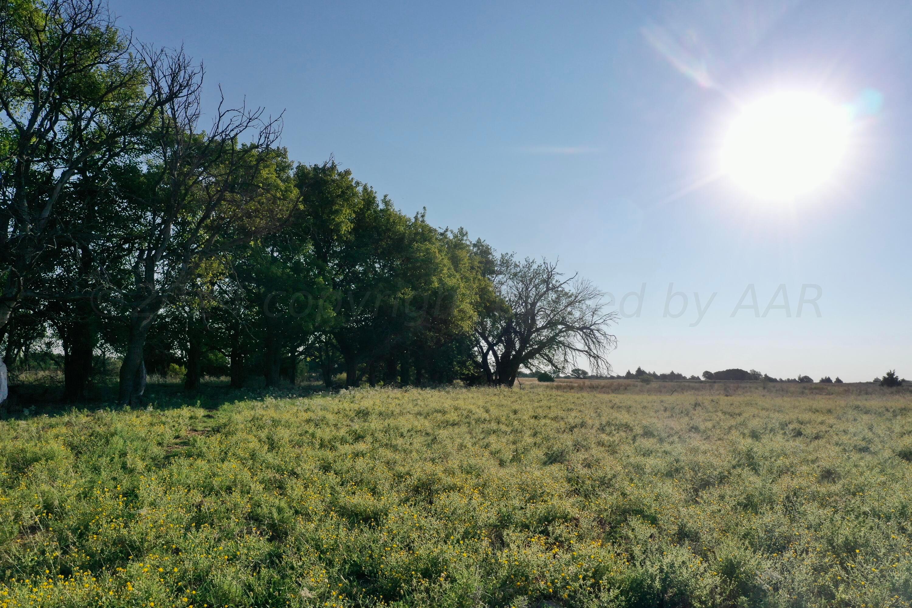19 County Road 19 Wheeler, TX 79096 - Photo 56 of 57 a view of outdoor space with mountain view