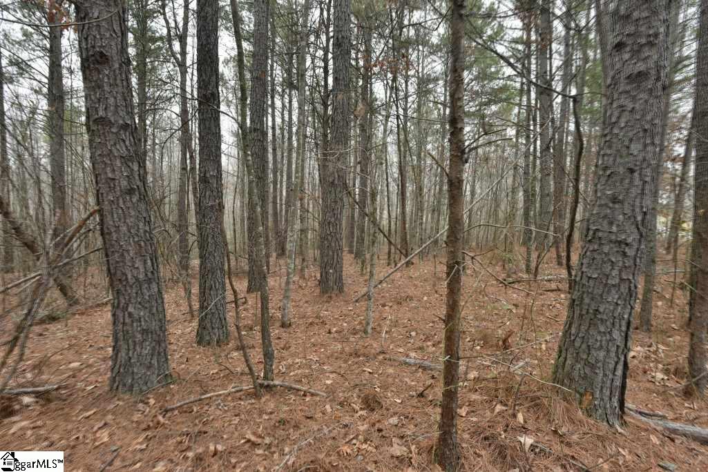 0 Fairfield Road, Unit LOT C Chesnee, SC 29323 - Photo 13 of 18