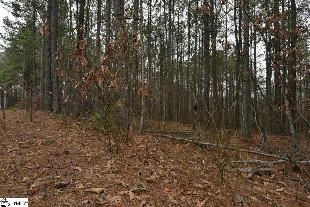 0 Fairfield Road, Unit LOT C Chesnee, SC 29323 - Photo 16 of 18
