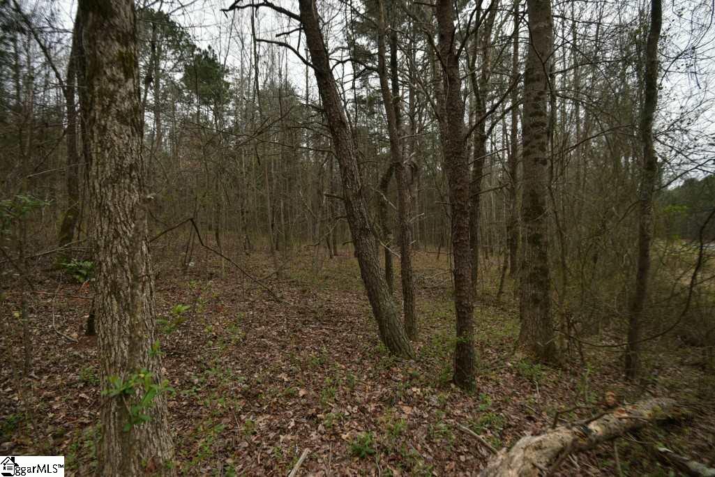 0 Fairfield Road, Unit LOT C Chesnee, SC 29323 - Photo 3 of 18