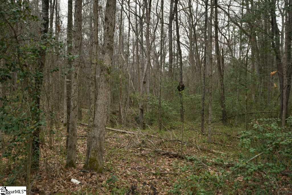 0 Fairfield Road, Unit LOT C Chesnee, SC 29323 - Photo 5 of 18