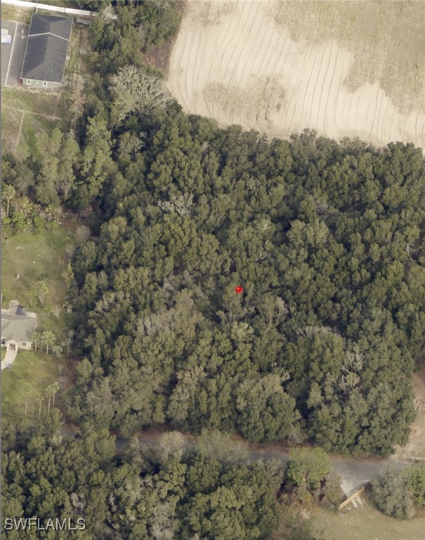 Bessie Dix Road Seffner, FL 33584 - Photo 4 of 4 Gallery Image 4