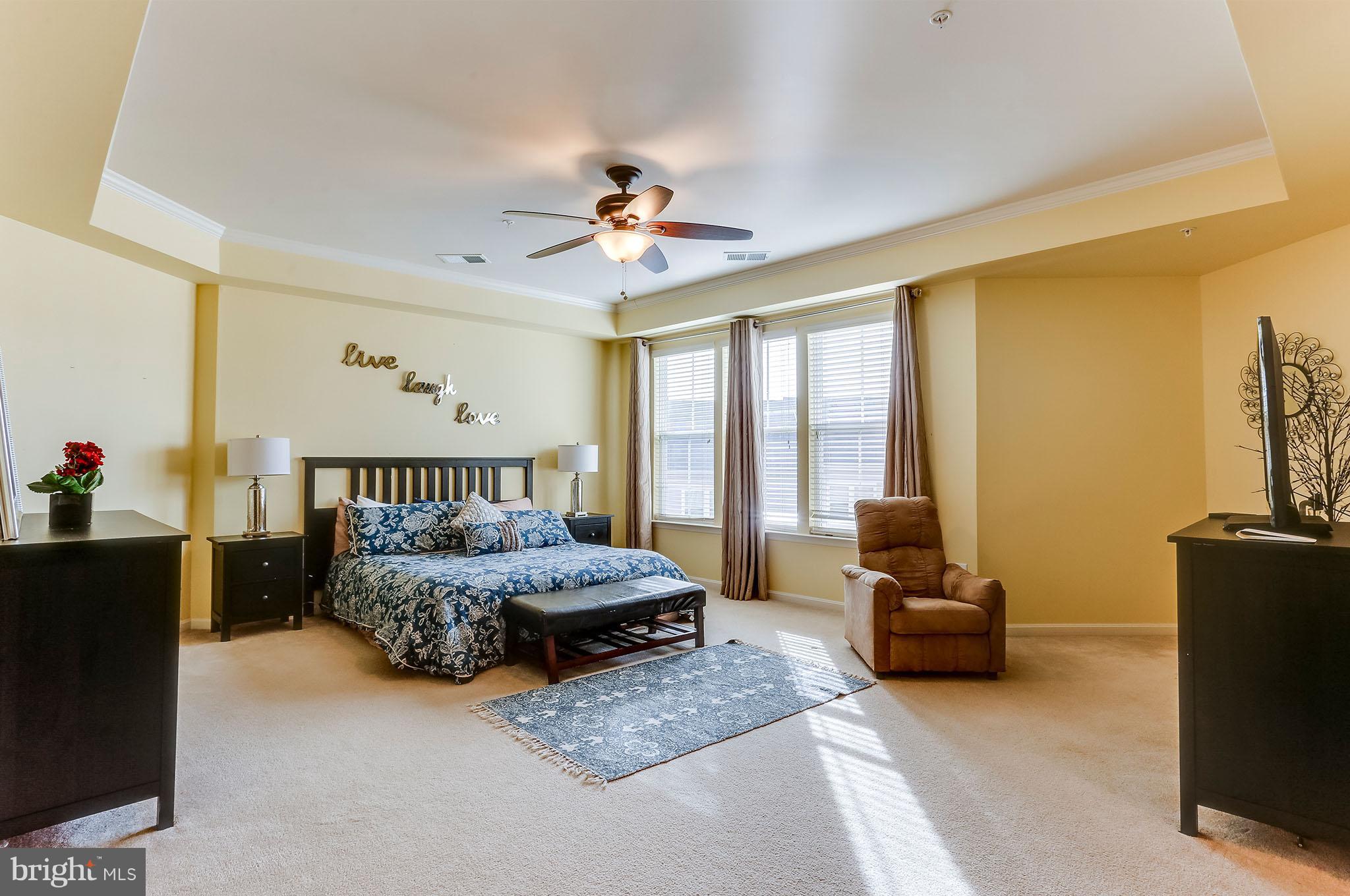 9821 Garden Ranges Laurel, MD 20723 - Photo 13 of 29 Master bedroom w/tray ceiling