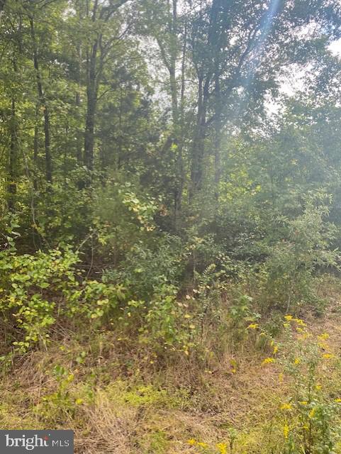 0 Fairview Road Partlow, VA 22534 - Photo 3 of 6