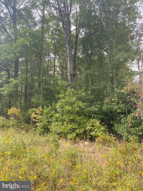 0 Fairview Road Partlow, VA 22534 - Photo 5 of 6