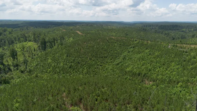 a view of a green field with lots of bushes