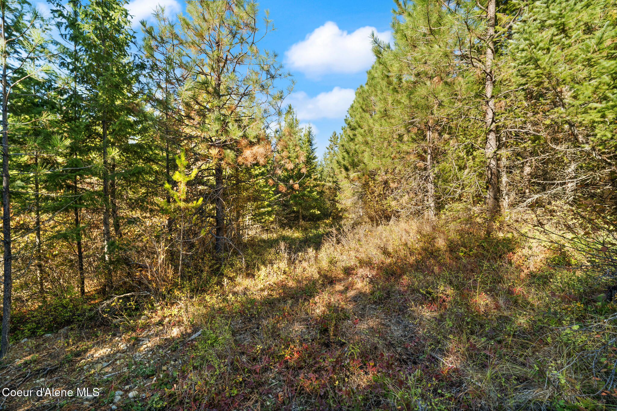 Nna Nna Sunsetter Lane Cocolalla, ID 83813 - Photo 18 of 27 NNASunsetterLane (49)