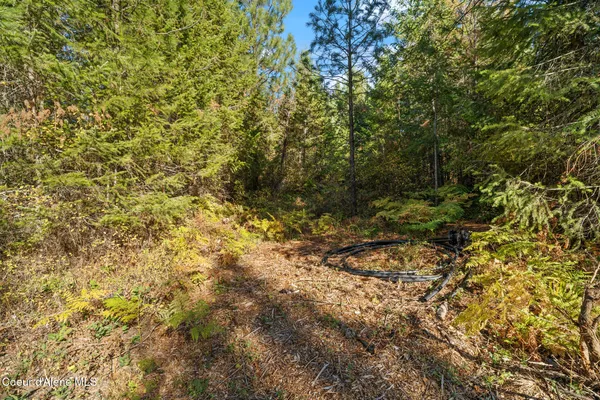 $159,000 | Nna Nna Sunsetter Lane, Cocolalla, ID 83813