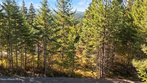 $159,000 | Nna Nna Sunsetter Lane, Cocolalla, ID 83813