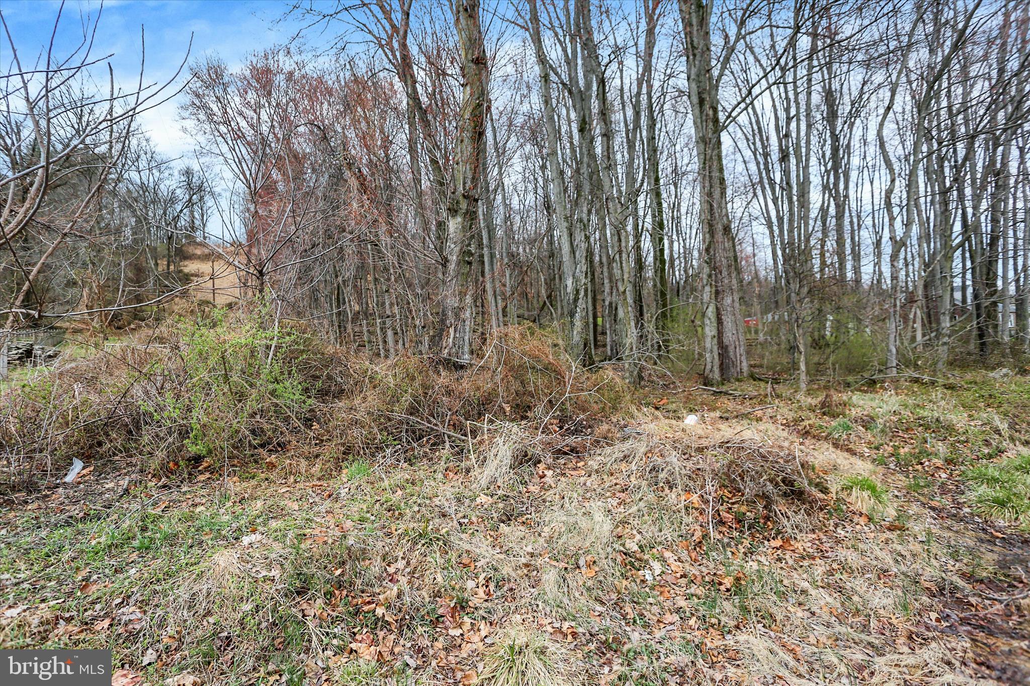 Lot 2 Cly Road York Haven, PA 17370 - Photo 12 of 20