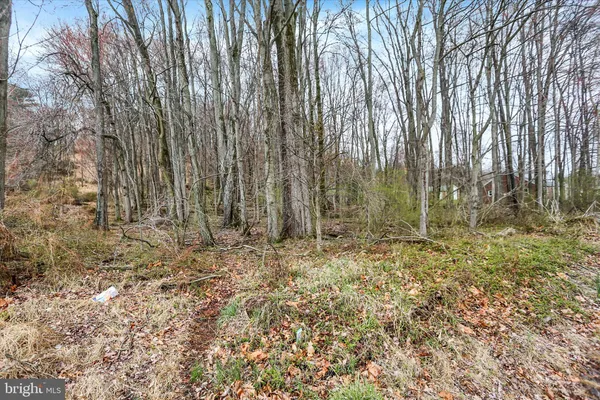 a backyard of a house with lots of trees