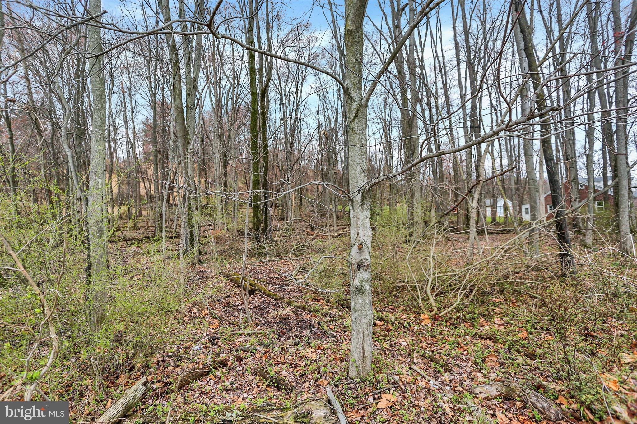 Lot 2 Cly Road York Haven, PA 17370 - Photo 14 of 20