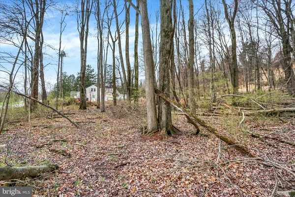 a view of backyard with green space